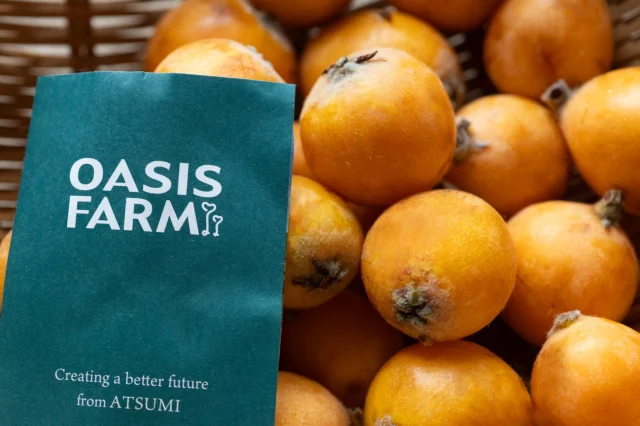 Yottecoを運営する渥美フーズの自社農園『OASIS FARM』から採れたての枇杷が届いています☆

渥美半島の大地で実った自然な美味しさの枇杷。

見た目には少々キズはありますが、甘酸っぱく、ジューシーでとびきりの味です。（お値段もお得価格です）

デザートやおやつにそのまま食べても、枇杷シロップや、枇杷酒、枇杷ジャム作りにもおすすめ。

OASIS FARMの採れたて枇杷はYotteco中央の冷蔵スペースと、入り口を入って右手奥の『渥美フーズオリジナル商品』コーナーで販売中です。

この季節だけの自然の恵み。
皆さんでお愉しみください。

#oasis_farm 
#渥美フーズ
#6月もYotteco